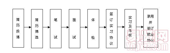 招聘流程